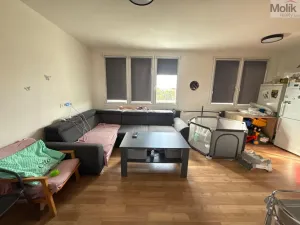 Pronájem bytu 3+1, Most, Růžová, 1111 m2