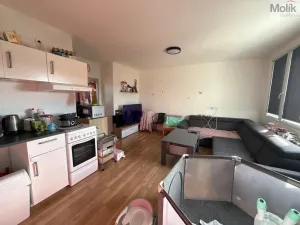 Pronájem bytu 3+1, Most, Růžová, 1111 m2