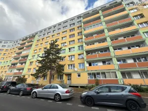 Pronájem bytu 3+1, Most, Růžová, 1111 m2