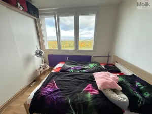 Prodej bytu 3+1, Most, Růžová, 56 m2