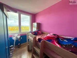 Prodej bytu 3+1, Most, Růžová, 56 m2