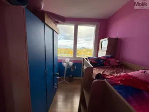 Prodej bytu 3+1, Most, Růžová, 56 m2