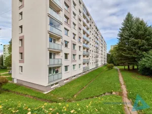 Prodej bytu 4+1, Nová Paka, K Hájku, 77 m2