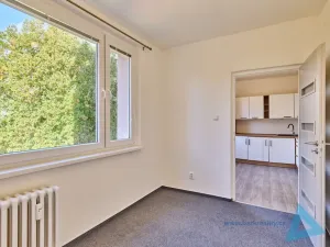 Prodej bytu 4+1, Nová Paka, K Hájku, 77 m2