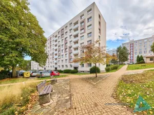 Prodej bytu 4+1, Nová Paka, K Hájku, 77 m2