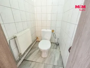 Prodej zemědělské usedlosti, Strupčice - Sušany, 150 m2
