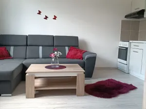 Prodej bytu 1+1, Ústí nad Labem - Mojžíř, Peškova, 36 m2
