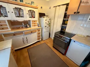 Prodej chaty, Nepomyšl - Nová Ves, 102 m2