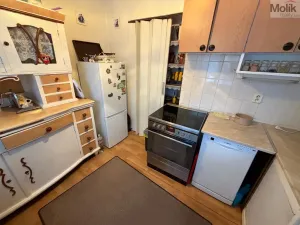 Prodej chaty, Nepomyšl - Nová Ves, 102 m2