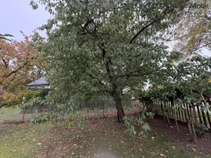 Prodej chaty, Nepomyšl - Nová Ves, 102 m2