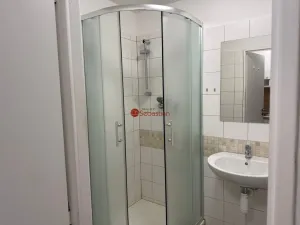 Pronájem bytu 1+kk, Teplice - Trnovany, Antonína Sochora, 20 m2