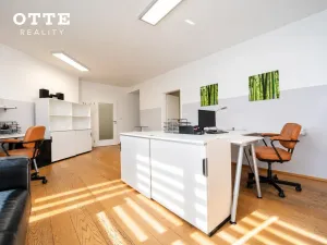 Prodej bytu 2+kk, Plzeň, Šafaříkovy sady, 60 m2