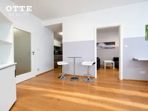 Prodej bytu 2+kk, Plzeň, Šafaříkovy sady, 60 m2