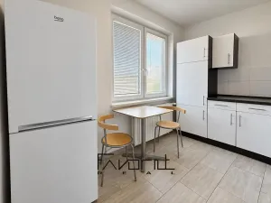 Pronájem bytu 1+1, Ostrava, Aviatiků, 42 m2