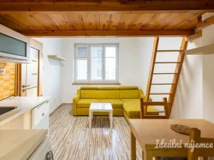 Pronájem bytu 1+kk, Praha - Holešovice, Přístavní, 20 m2