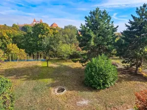Prodej chaty, Nový Šaldorf-Sedlešovice - Sedlešovice, 54 m2