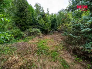 Prodej chaty, Šternberk, 20 m2