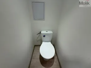 Pronájem bytu 2+1, Bílina - Teplické Předměstí, Sídliště U Nového nádraží, 55 m2