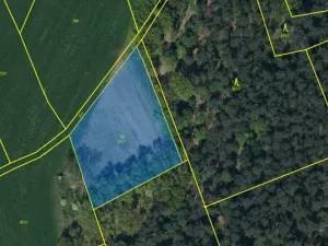 Prodej louky, Ostřetín - Vysoká u Holic, 2972 m2