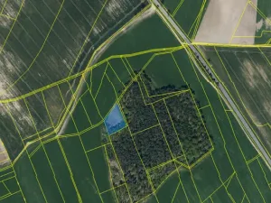 Prodej louky, Ostřetín - Vysoká u Holic, 2972 m2