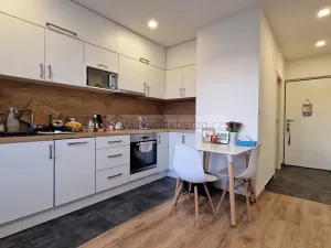 Pronájem bytu 1+1, Česká Třebová, Habrmanova, 38 m2
