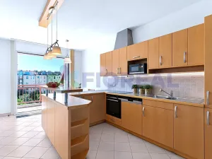 Pronájem bytu 5+1, Praha - Vinohrady, Kladská, 230 m2