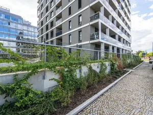 Pronájem bytu 2+kk, Praha - Karlín, Sokolova, 59 m2