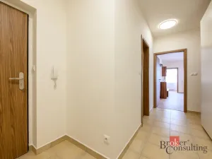 Pronájem bytu 2+kk, Plzeň - Bolevec, U Velkého rybníka, 59 m2