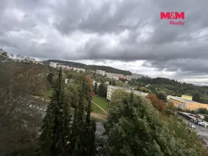Pronájem bytu 1+kk, Ústí nad Labem - Ústí nad Labem-centrum, Hoření, 21 m2