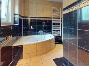 Prodej rodinného domu, Chomutov, Čelakovského, 300 m2