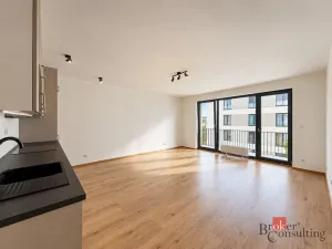 Pronájem bytu 2+kk, Plzeň - Jižní Předměstí, Železná, 56 m2