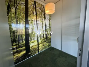 Pronájem kanceláře, Brno - Královo Pole, Technická, 122 m2