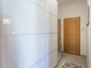 Pronájem bytu 2+kk, Praha - Žižkov, Ondříčkova, 48 m2