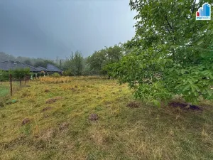 Prodej pozemku pro bydlení, Zbůch, Plzeňská, 1 m2