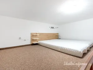 Pronájem bytu 1+1, Praha - Smíchov, Radlická, 43 m2