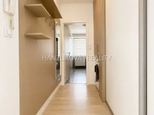 Pronájem bytu 2+kk, České Budějovice - České Budějovice 2, U Boru, 40 m2