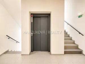 Pronájem bytu 2+kk, České Budějovice - České Budějovice 2, U Boru, 40 m2