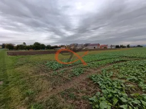 Prodej pozemku pro bydlení, Stará Ves, 1343 m2