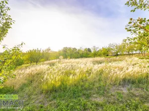 Prodej pozemku pro bydlení, Ostrožská Lhota, 490 m2