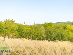 Prodej pozemku pro bydlení, Ostrožská Lhota, 490 m2