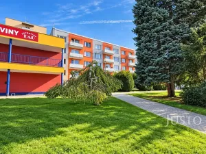 Prodej bytu 1+1, Písek, Harantova, 36 m2