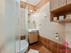 Prodej bytu 3+1, Žamberk, SNP, 74 m2