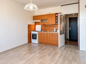 Prodej bytu 2+kk, Plzeň - Severní Předměstí, Sokolovská, 40 m2