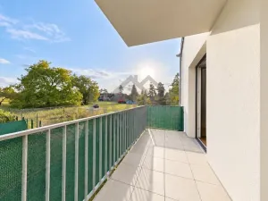 Prodej bytu 1+kk, Vestec, U Hrubých, 54 m2