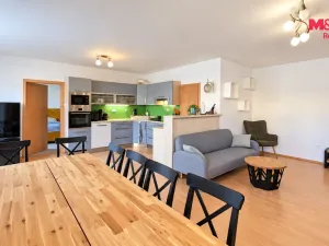 Pronájem bytu 4+kk, Písek - Budějovické Předměstí, Janotova, 110 m2