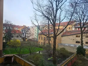 Pronájem bytu 2+kk, Praha - Žižkov, Čajkovského, 65 m2