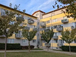 Pronájem bytu 1+kk, Kročehlavy, Jaroslava Holečka, 35 m2