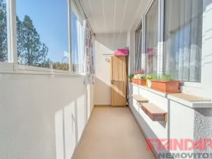 Prodej bytu 1+kk, Klatovy, Suvorovova, 29 m2