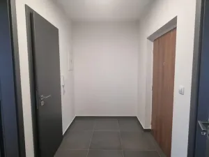 Pronájem bytu 2+kk, Zelené Předměstí, Pod Vinicí, 68 m2