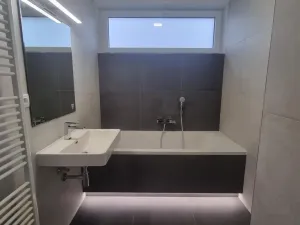 Pronájem bytu 2+kk, Zelené Předměstí, Pod Vinicí, 68 m2